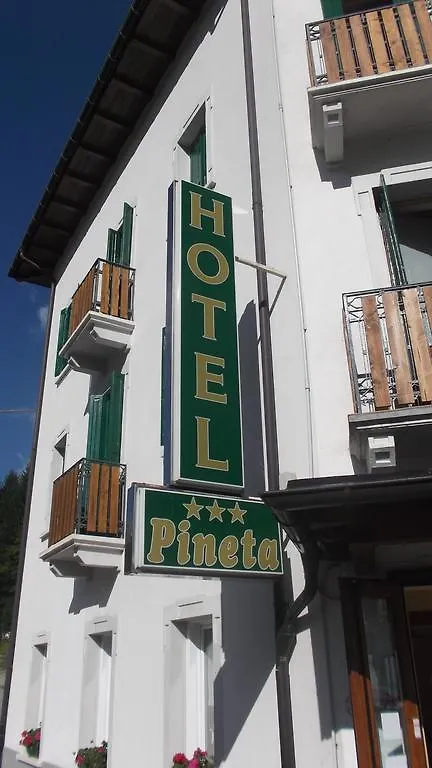 Hotel Pineta Falcade 3*,