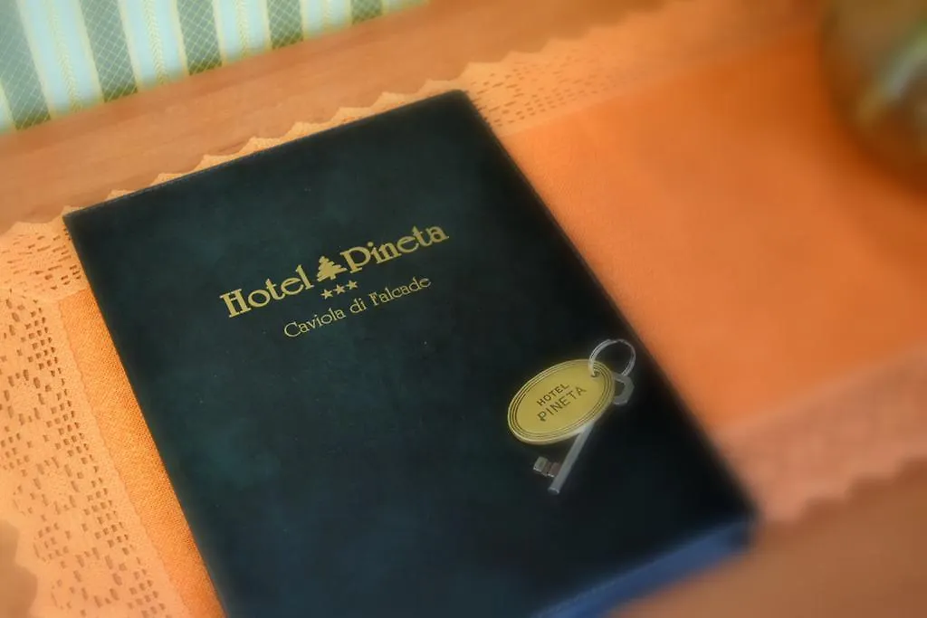 Hotel Pineta Falcade
